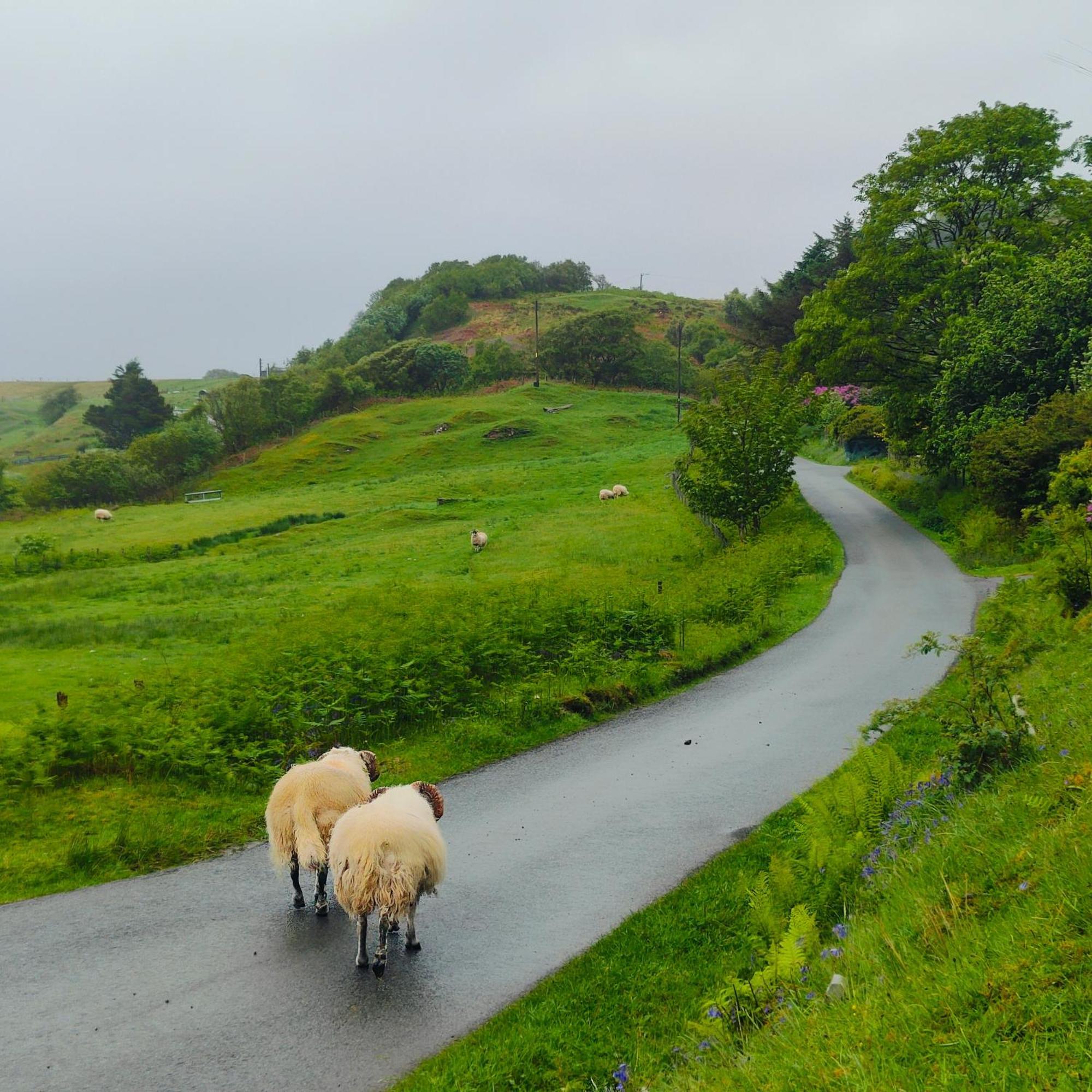 Kintyre Caravan ポートリー エクステリア 写真