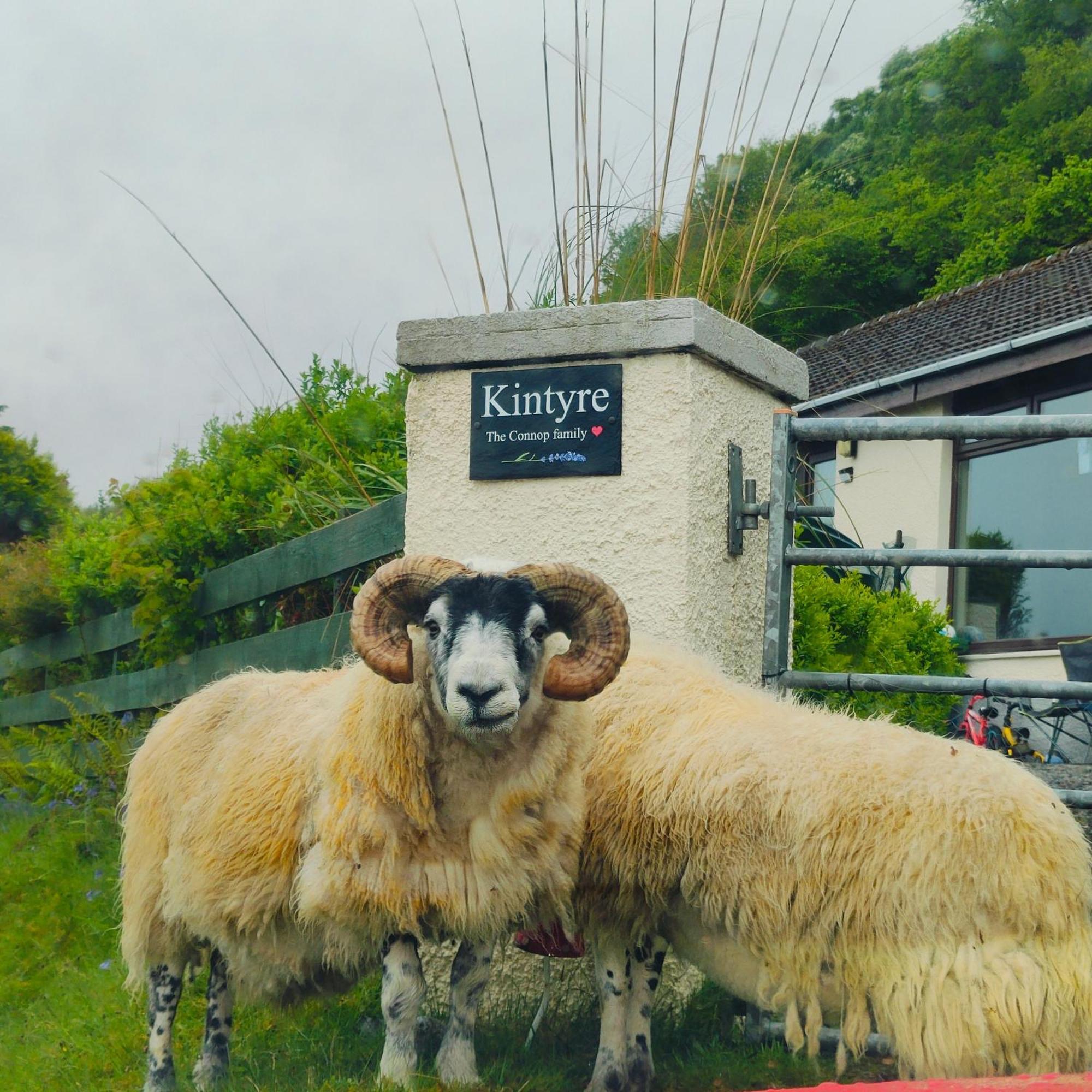 Kintyre Caravan ポートリー エクステリア 写真