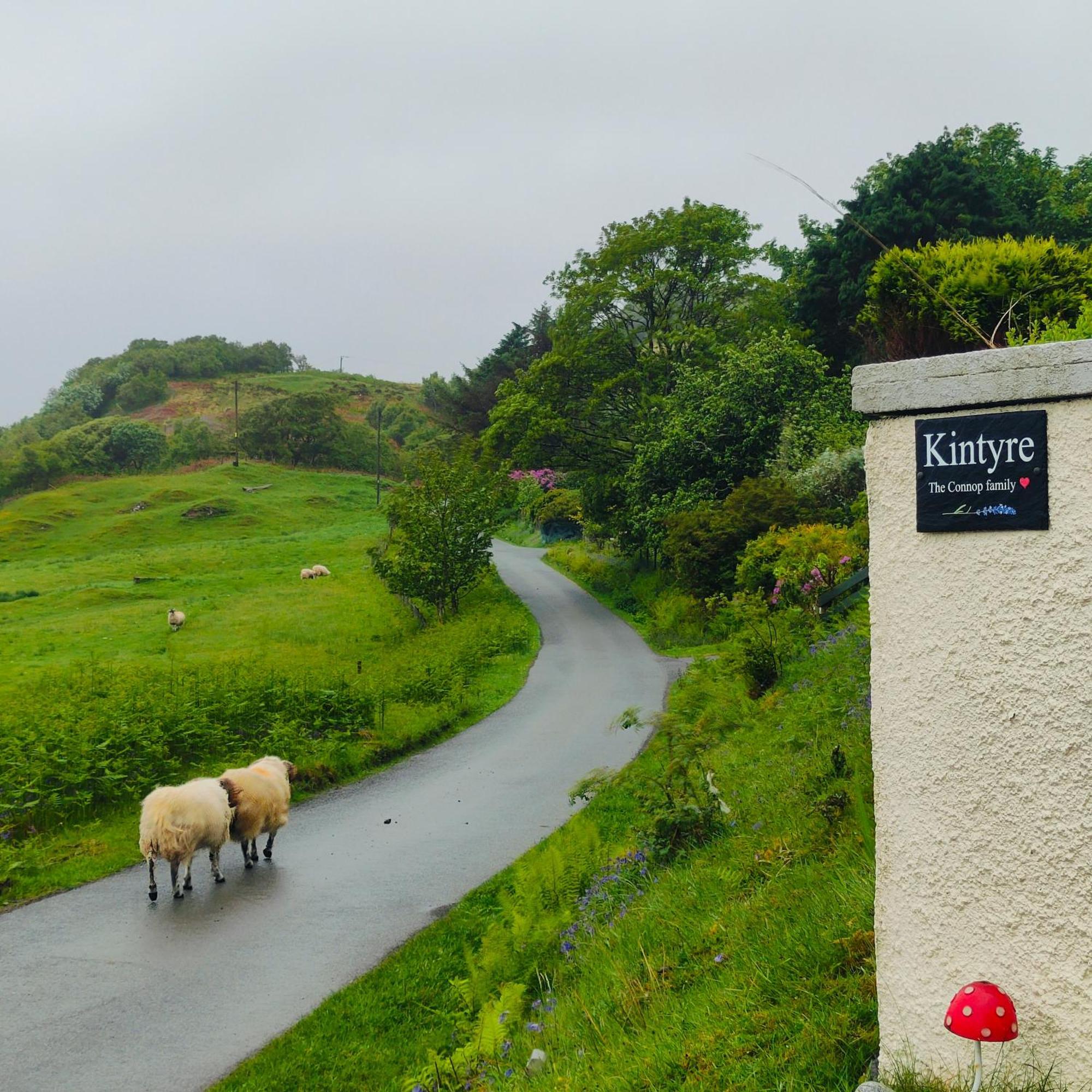 Kintyre Caravan ポートリー エクステリア 写真